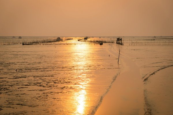 Quels sont les meilleurs sentiers pour une randonnée dans les montagnes de la Sierra Madre, Mexique : équipements et conseils?