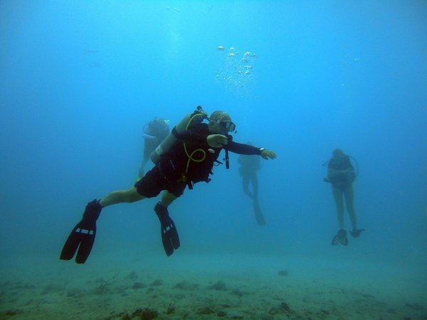Comment organiser une plongée sous-marine pour explorer les épaves en mer Rouge, Égypte?