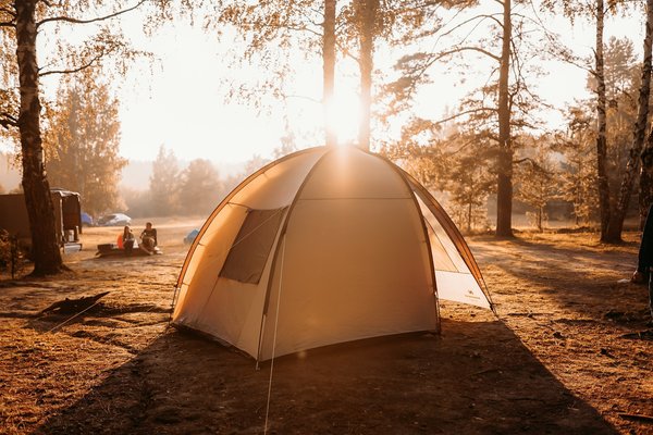 Quels sont les conseils pour un camping en région de forêt de conifères en été?